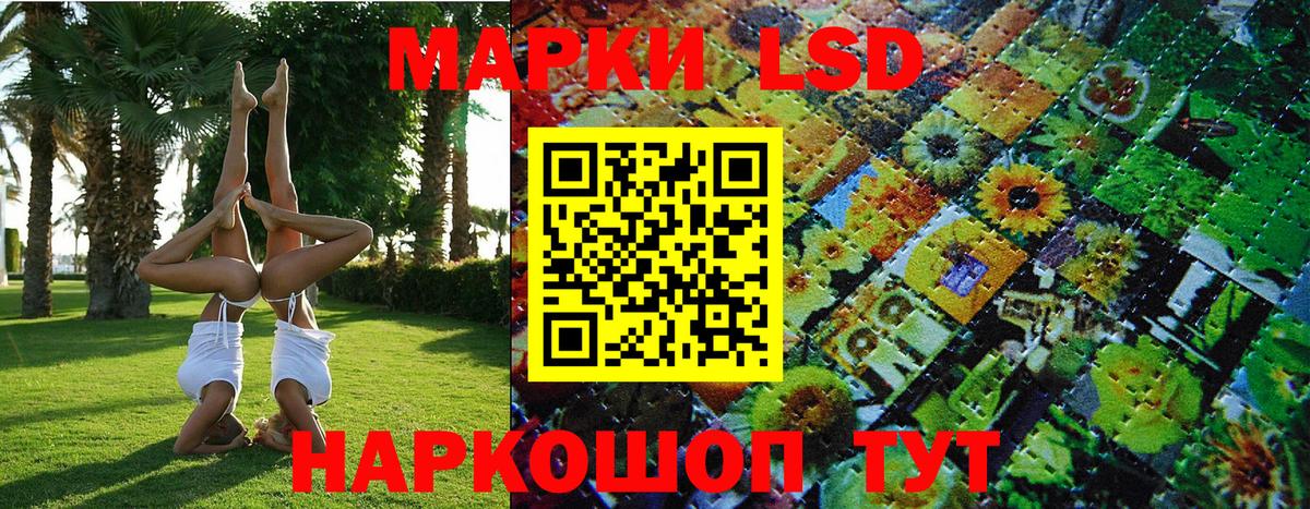 купить наркотики сайты  Наркотические марки  Вход с VPN  Наркотические марки 1,8мг  Гурьевск 